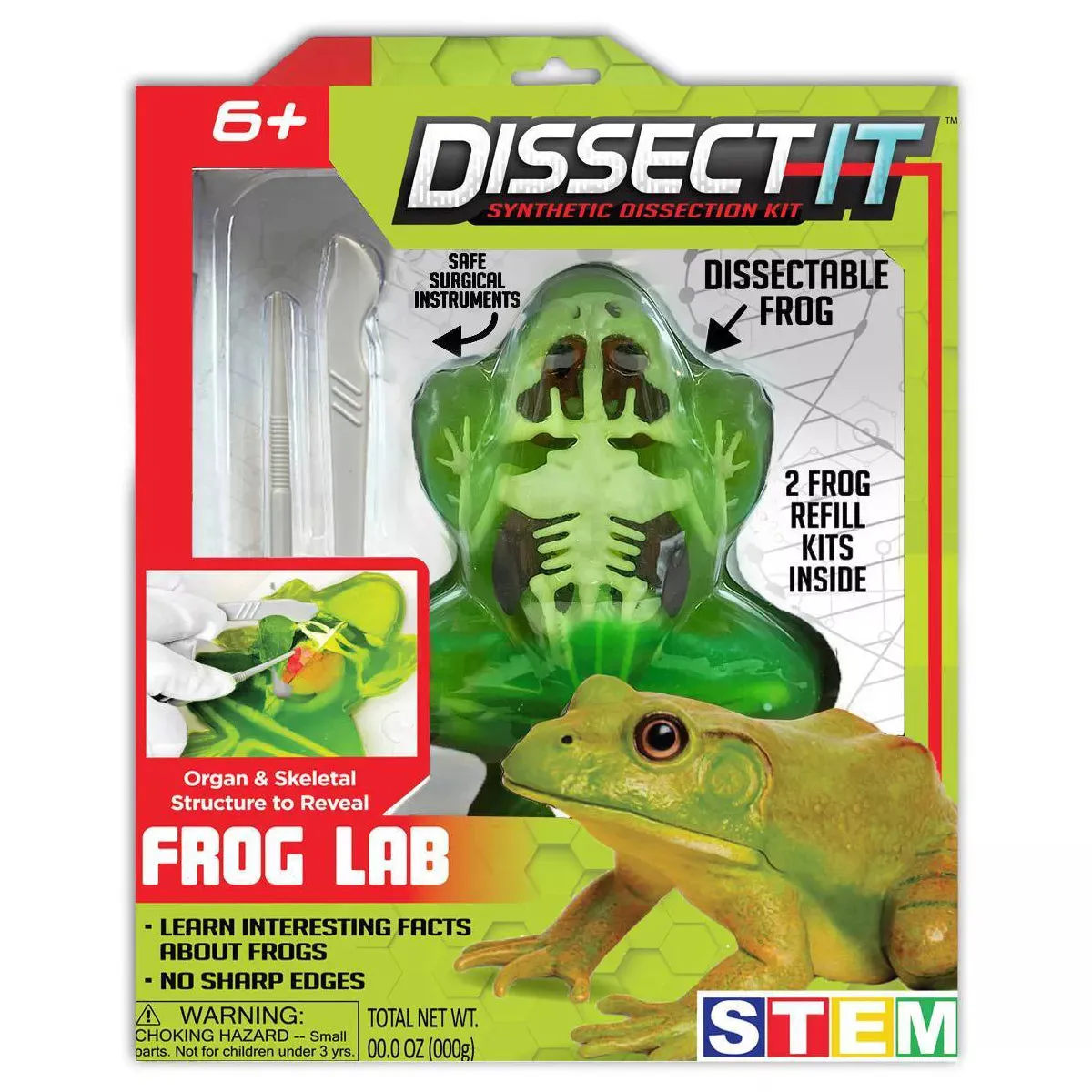 Dissect-It Frog Lab