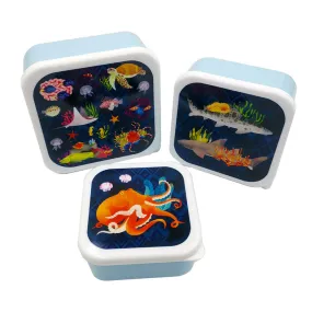 Lunch Boxes Set of 3 (S/M/L) - Marine Kingdom LBOX110