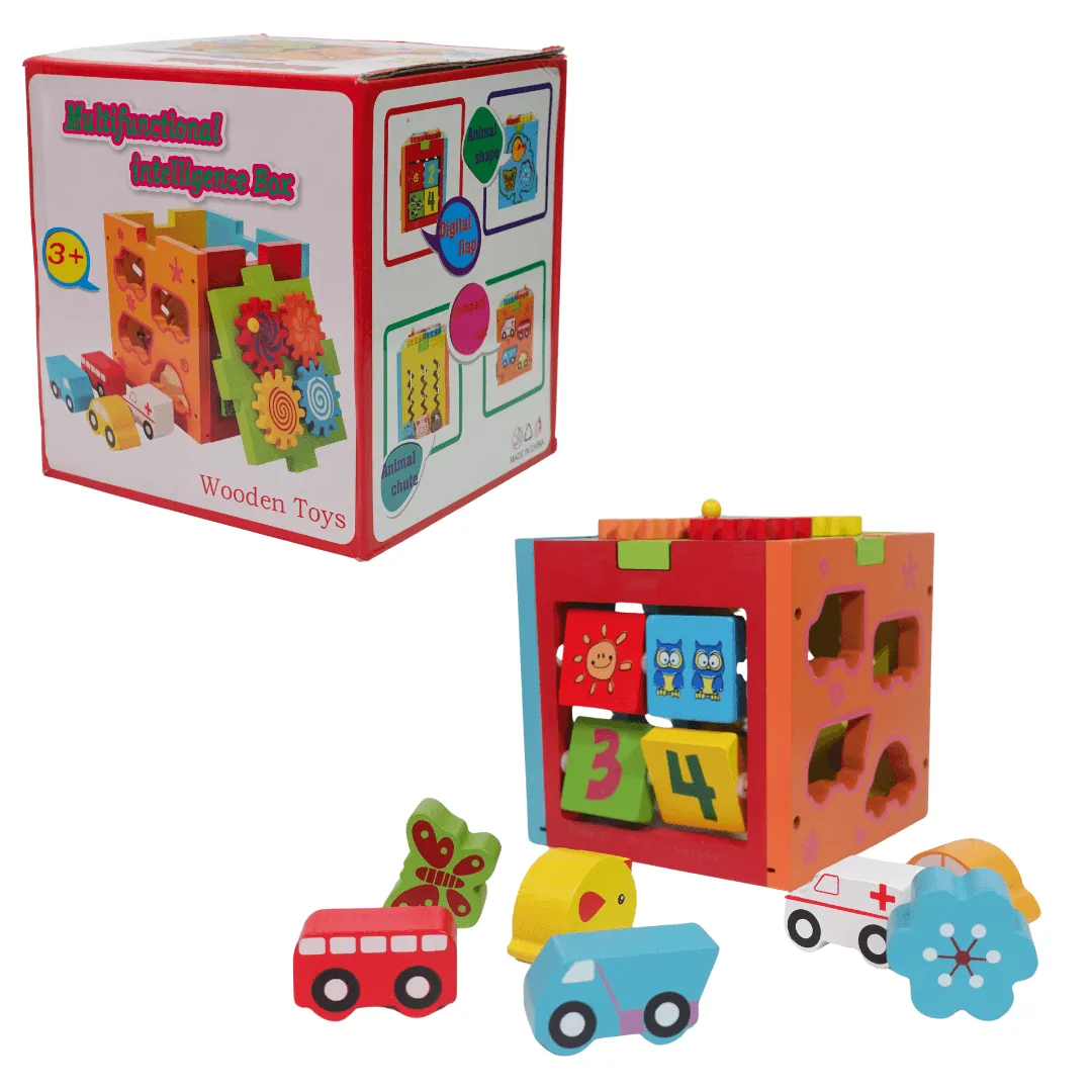 Multifunctional Intelligence Box for kids-1 Box