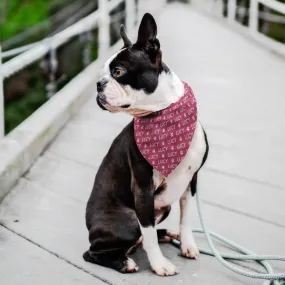 Personalized Dog Bandana Pattern Name Paw Prints