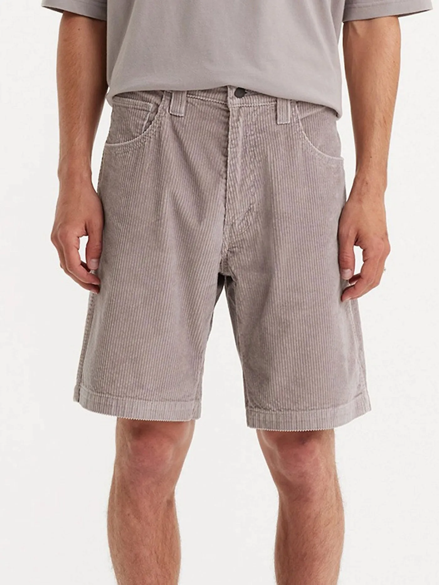 Skate Drop-In Silver Fox Shorts